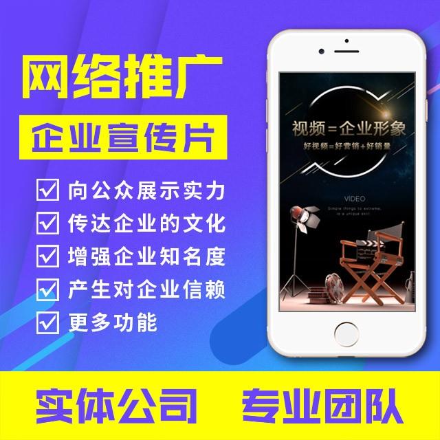 网络推广：企业/产品宣传片